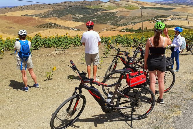 Wine, Tapas & Lake Zahara by e-bike incl Ronda pickup (full day) - Lunch with a complimentary glass: what’s really included