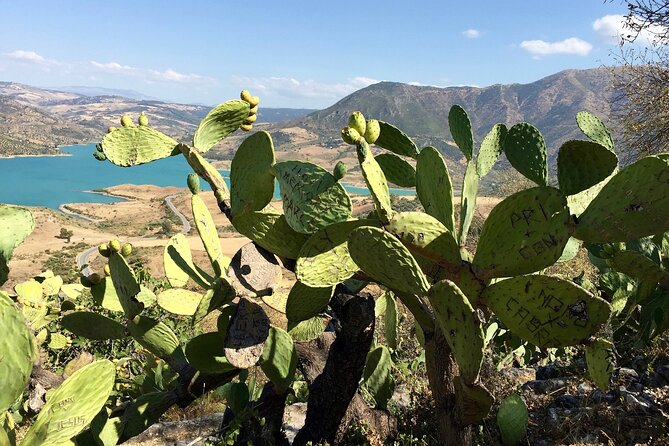 Wine, Tapas & Lake Zahara by e-bike incl Ronda pickup (full day) - Your hosts and guide style: why the small group matters