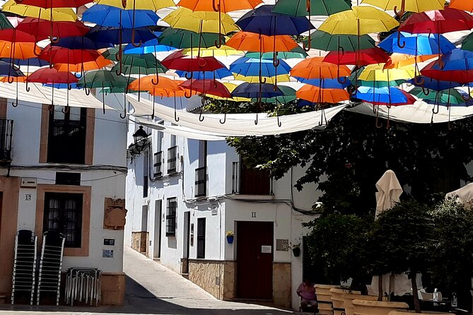 Wine & Tapas tour by electric bike (e-bike) including Ronda pickup (full day) - Tapas, drinks, and lunch: where the day’s flavors land