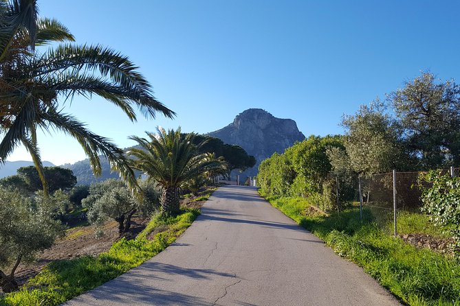 Wine & Tapas tour by electric bike (e-bike) including Ronda pickup (full day) - Private guide and small-group care with Chris and Neil