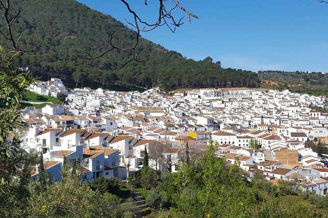 Wine & Tapas tour by electric bike (e-bike) including Ronda pickup (full day) - What you really get for $162.19: the value math