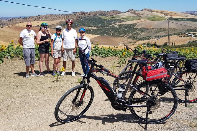 Wine & Tapas tour by electric bike (e-bike) including Ronda pickup (half day) - Ronda Pickup, a Quick Bike Practice, and a Small-Group Start