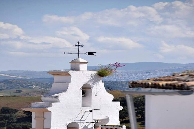 Wine & Tapas tour by electric bike (e-bike) including Ronda pickup (half day) - Safety, Support Vehicle, Helmets, and the Pace You Control