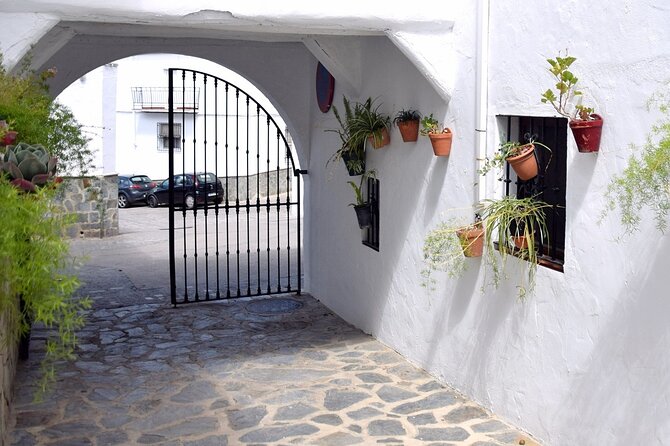 Wine & Tapas tour by electric bike (e-bike) including Ronda pickup (half day) - El Gastor and the Village Breaks: What the Stops Feel Like